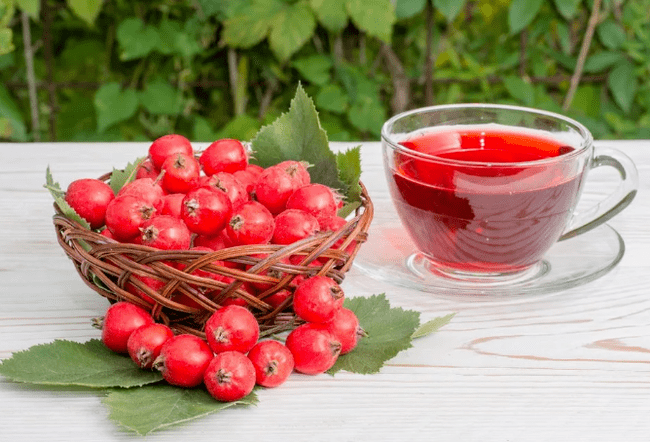 Hawthorn's decoction