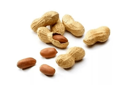 Seed